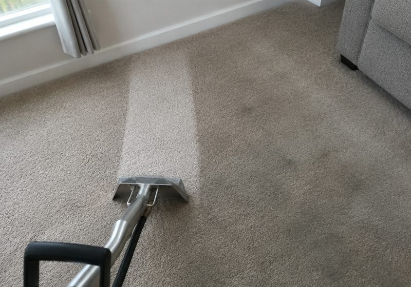 Wall-to-wall carpet mid-clean, with a bright cleaned stripe beside the soiled pile