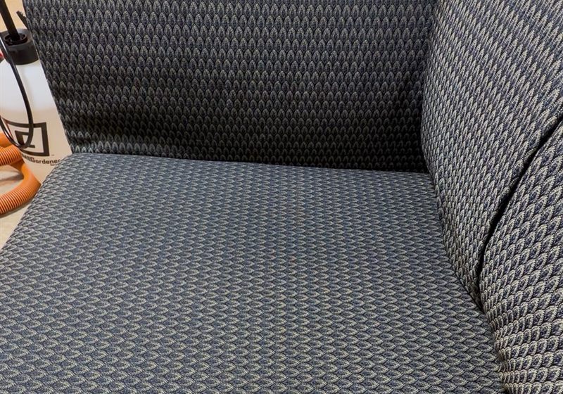 Freshly cleaned fabric sofa